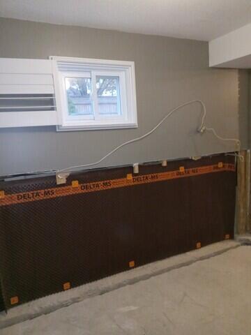 Wall membrane