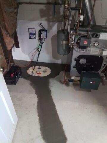 TripleSafe Sump Pump