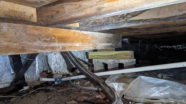 Rotted Wood