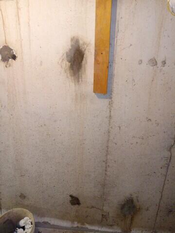 Signs of high water under the floor.