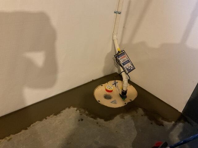 TripleSafe Sump Pump