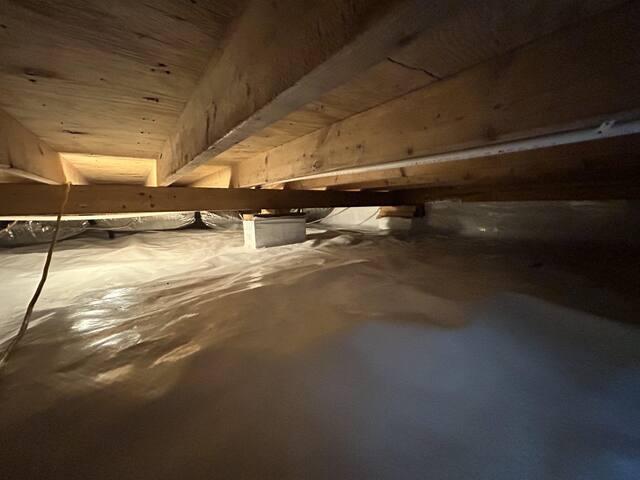 More CleanSpace