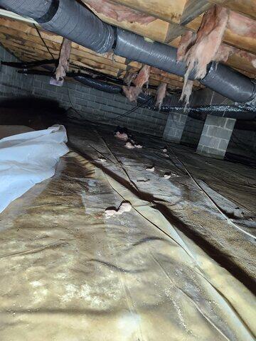 Standing Water on Liner