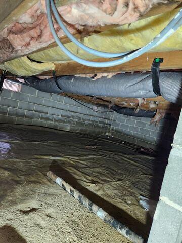 Old Insulation