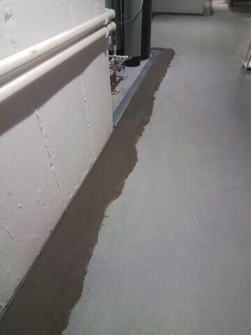 WaterGuard Drainage System