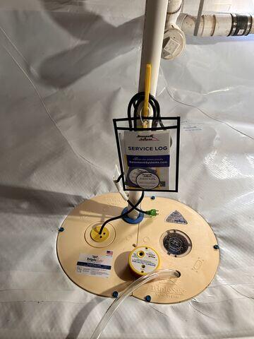 TripleSafe sump pump