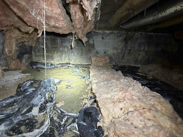 Musty, Dirty Crawl Space