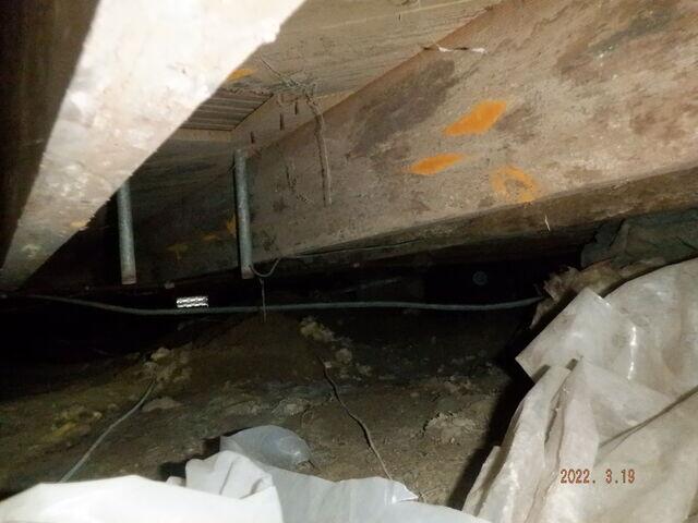 Wood Rot