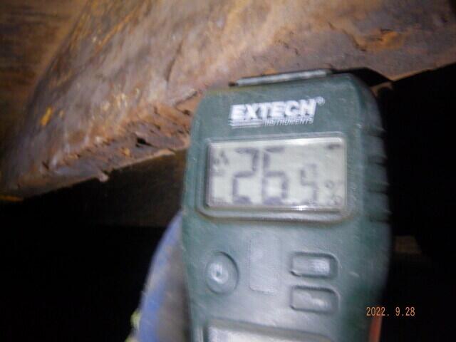Wood Reading