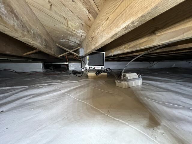 Dehumidifier and Condensate Pump