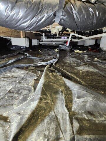 Debris Removal