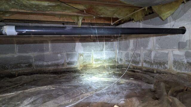Mold/Mildew