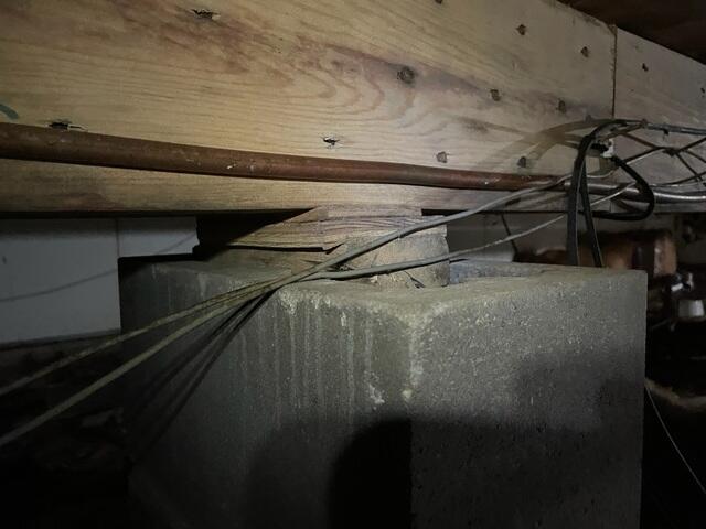 Rotting Shims