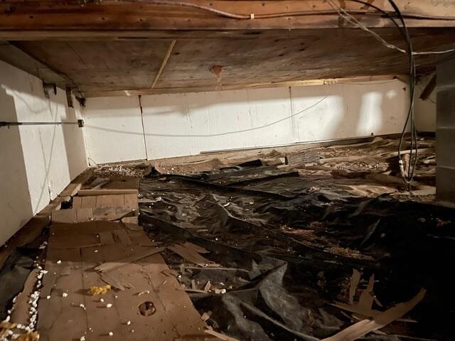 Fallen, Rotting Boards