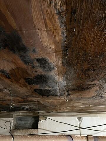 Rotting Ceiling