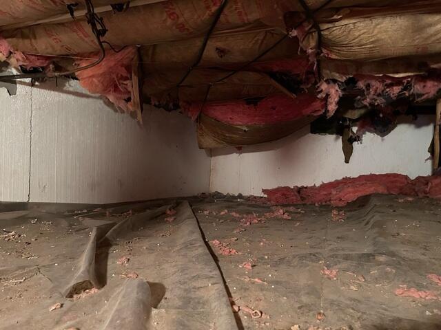 Insulation Falling