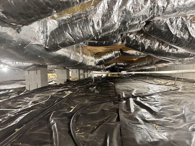 More Old Liner