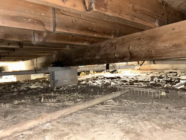 Regrading of Crawl Space Floor