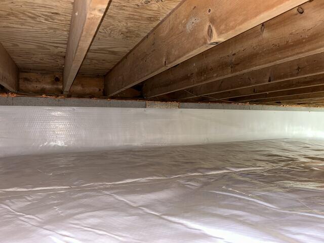 CleanSpace Technology