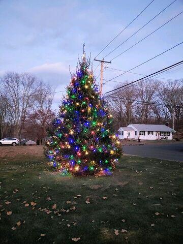 Tree Lights in Shelton