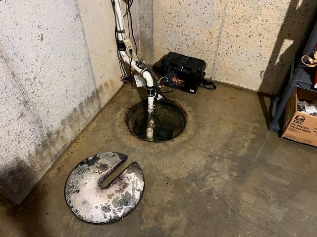 Rusted Sump Pump