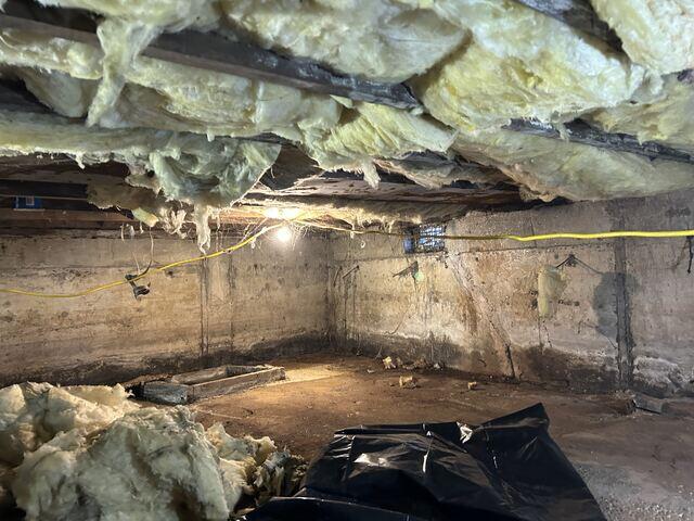 Mold on Walls