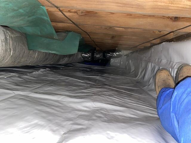 CleanSpace Liner
