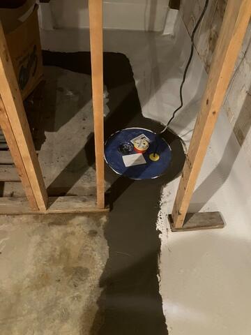 SuperSump Pump System