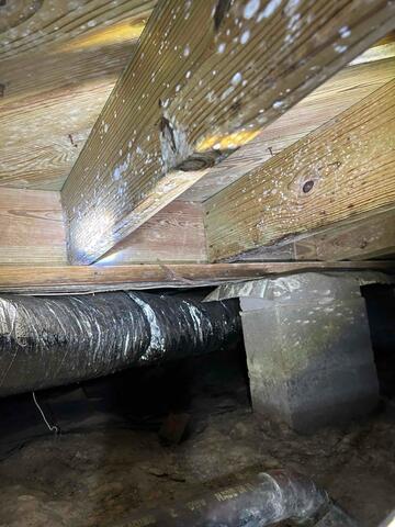 Nasty Crawl Space