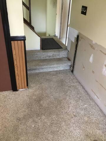 Water Damage Hidden by the Carpet