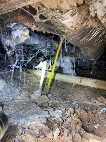 Unhealthy Crawl Space