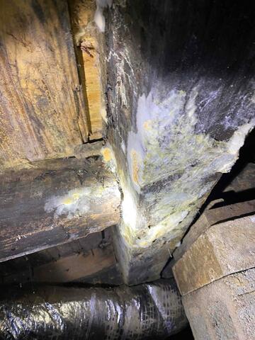 Moldy Floor Joist