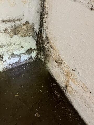 Major Water Issues