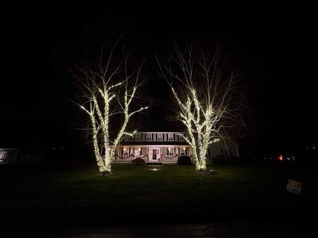 Tree lights in Beacon Falls, CT