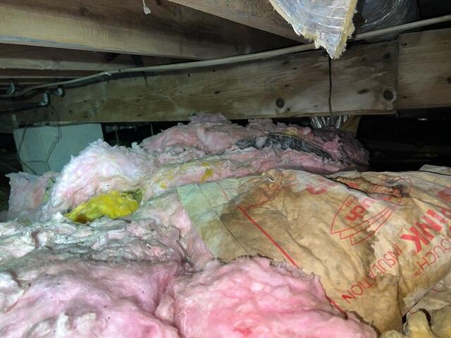 Wet and Fallen Insulation
