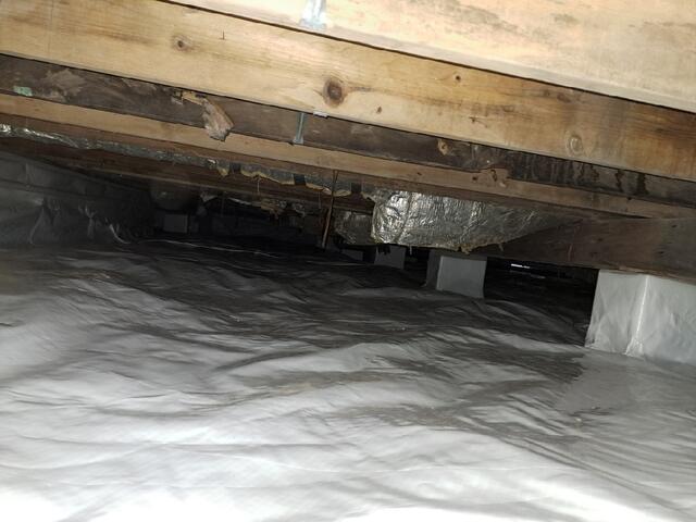 CleanSpace Vapor Barrier