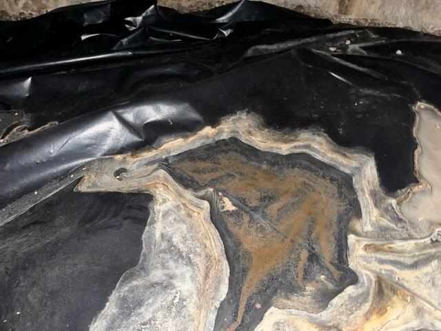 Muddy Vapor Barrier