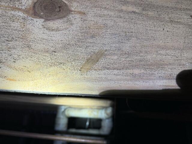 Mold Growth