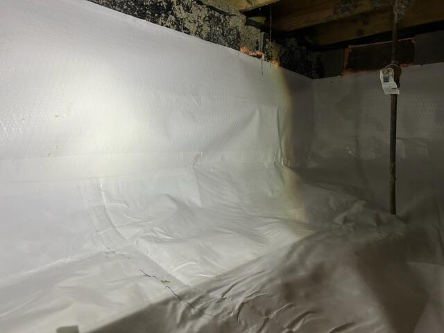 CleanSpace Liner