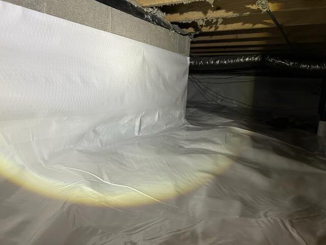 CleanSpace® Poly Liner