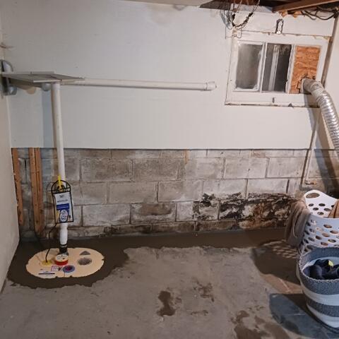 TripleSafe Sump Pump