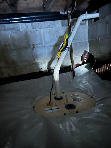 TripleSafe Sump Pump
