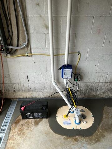 TripleSafe® Sump Pump