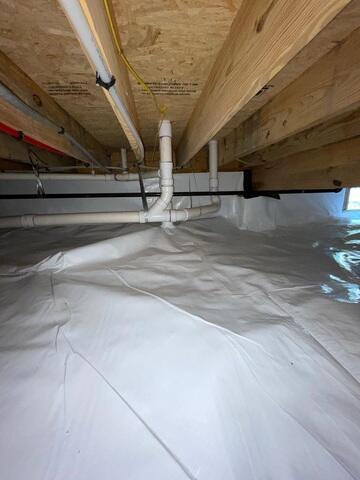 CleanSpace Liner