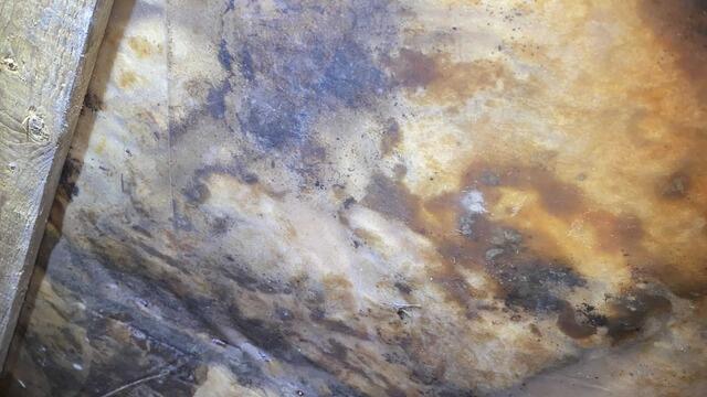 Old moldy insulation