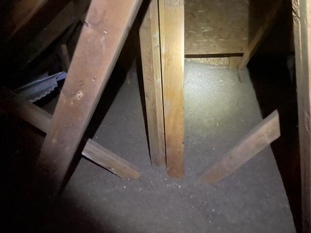 Old Insulation