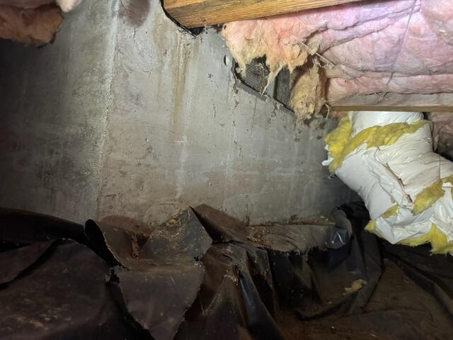 Chew Marks and Falling Fiberglass