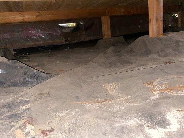Fiberglass on the walls and a Dirty Old Vapor Barrier