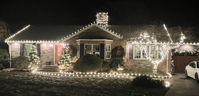Festive lights
