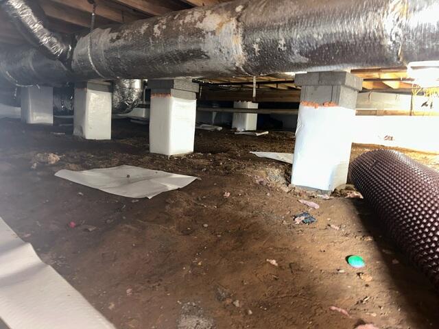Debris Removal